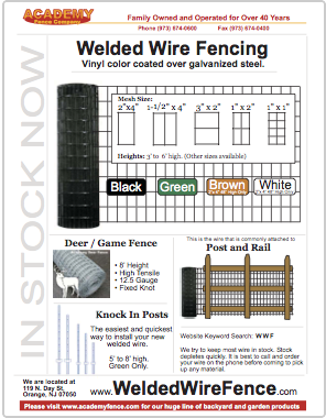 Academy Wholesale Brochure