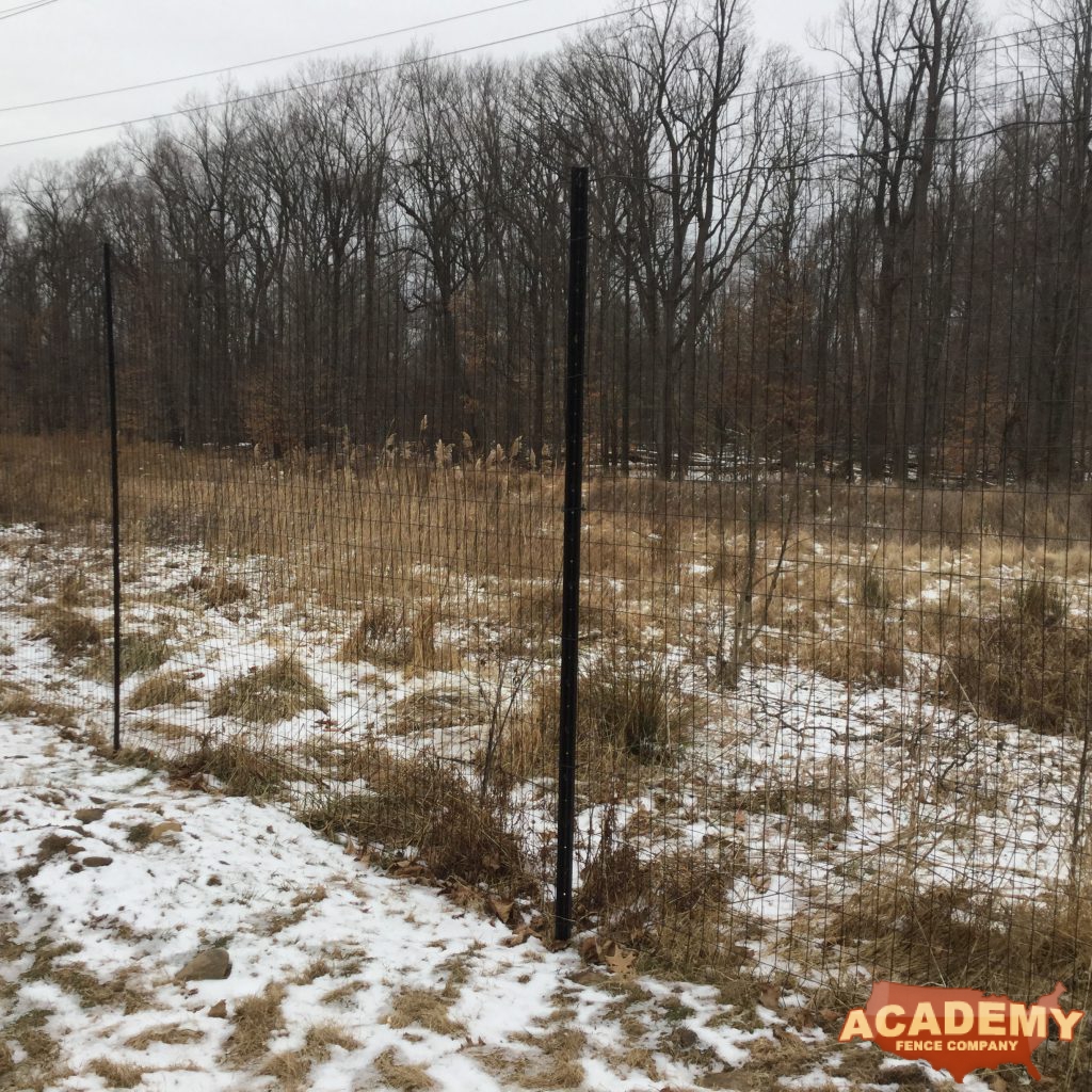 This is a wire mesh deer fence, made with 2 x 4 welded wire, 8 feet tall. It is installed in North Caldwell NJ.