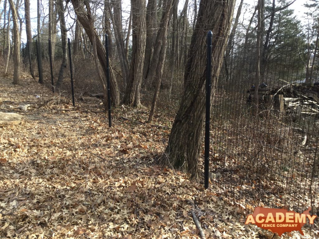 8′ high black wire deer fence installed in Belleville Essex County NJ, by Academy Fence Company.