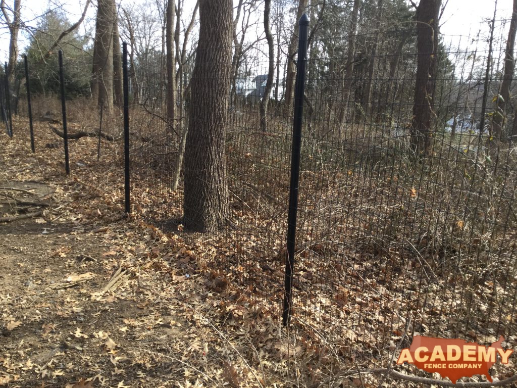 8′ high black wire deer fence installed in Bloomfield Essex County NJ, by Academy Fence Company.