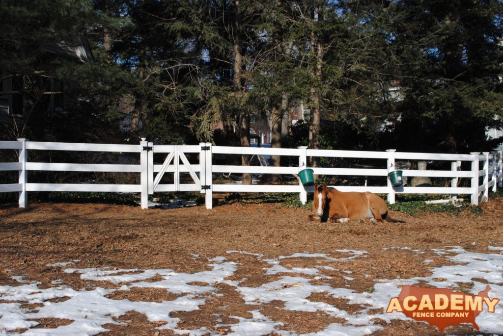 3 Rail PVC Horse Fence - installed in Montclair NJ