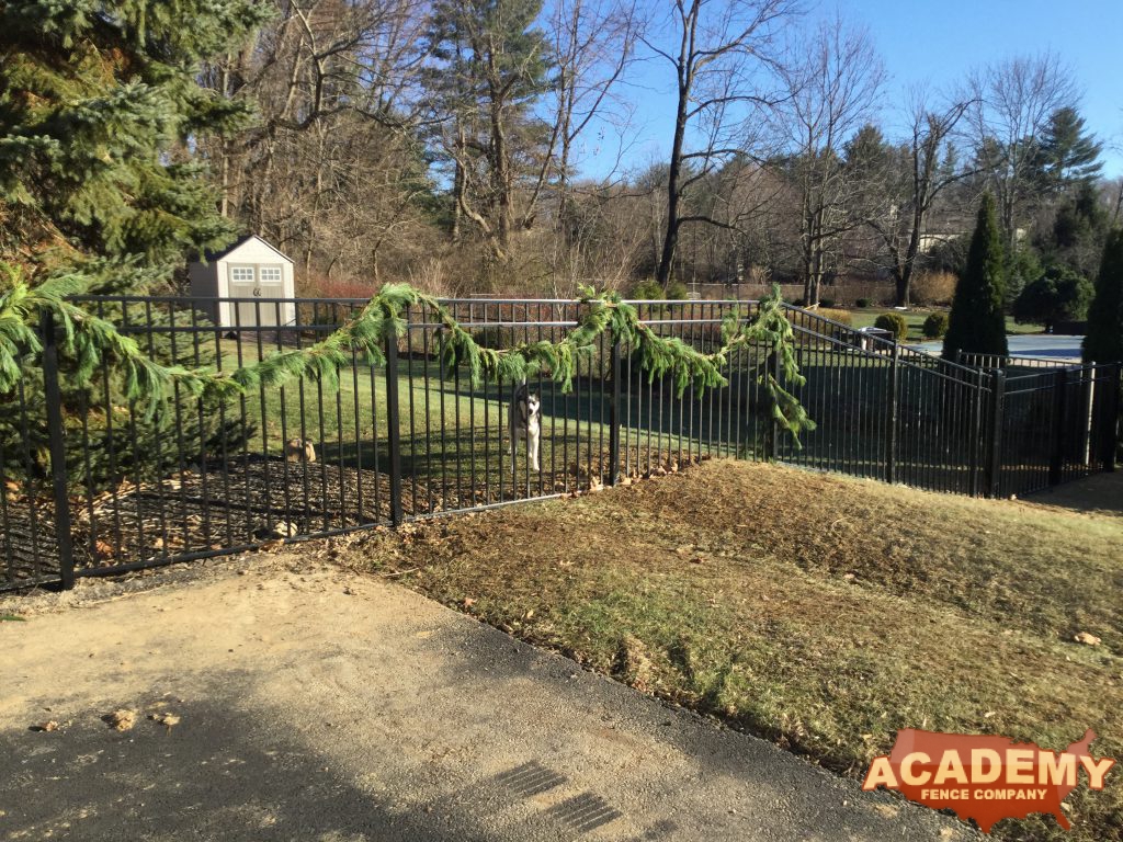 Black Aluminum Picket Fence Panels Residential Pool Code Installation Dog Run Academy Fence Company Randolph, New Jersey