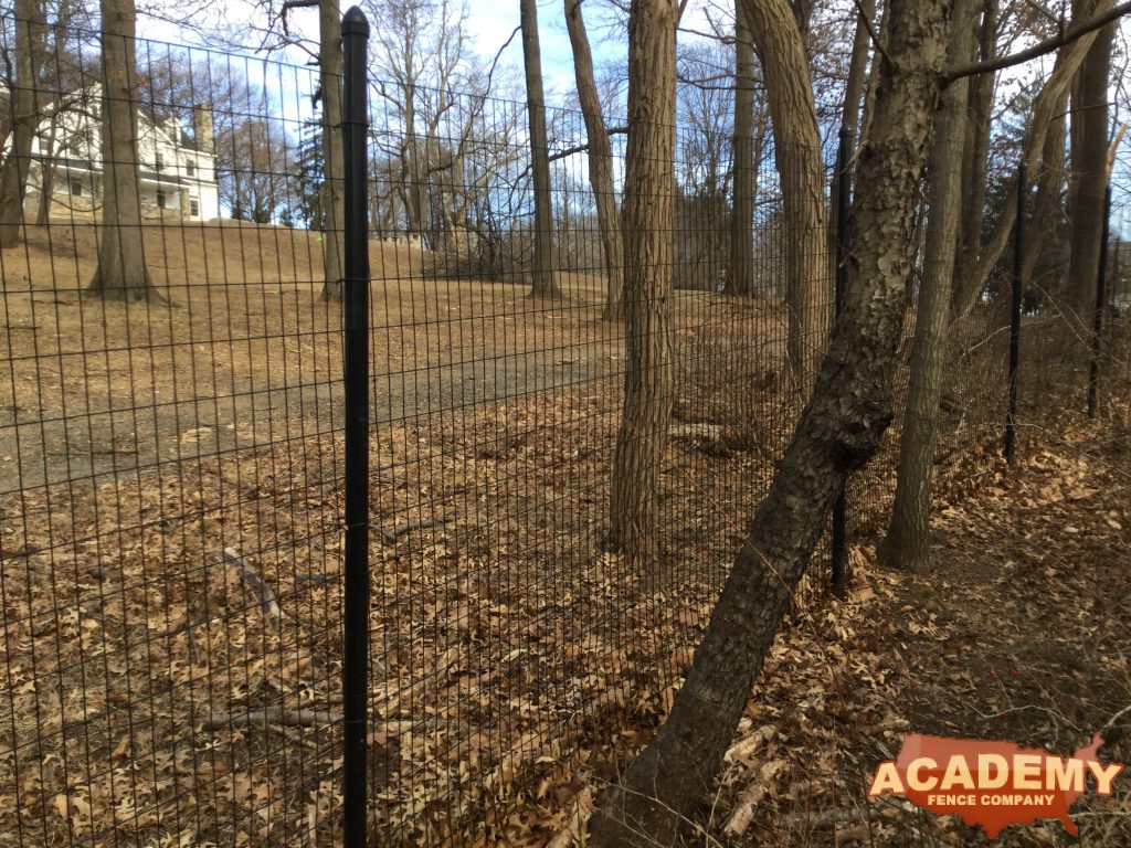 8' Welded Wire Deer Fence installed by Academy Fence Company in Chatham borough, NJ.