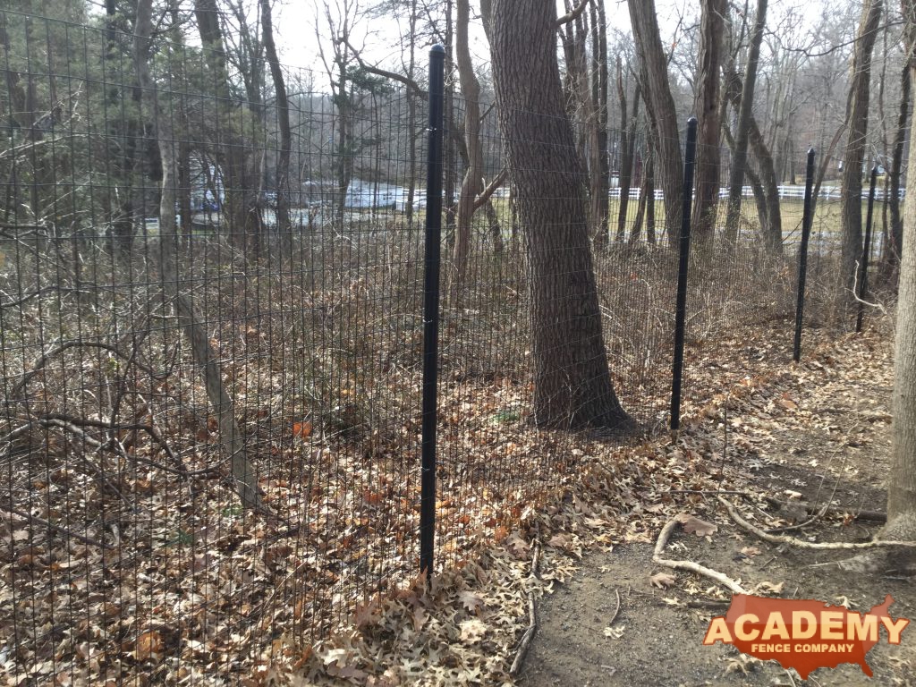 8' Welded Wire Deer Fence installed by Academy Fence Company in East Hanover, NJ.