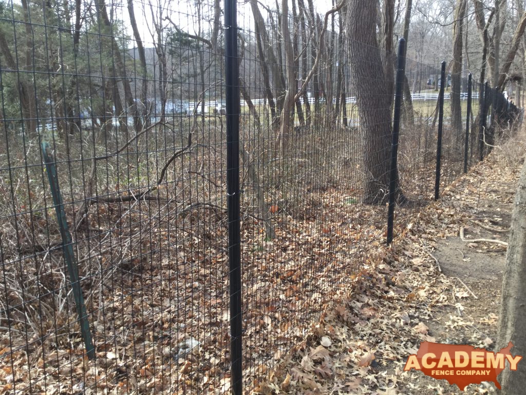 8' Black Welded Wire Deer Fence installed by Academy Fence Company in Florham Park, NJ.