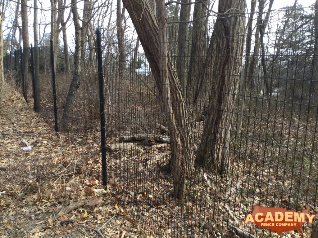 8' Black Welded Wire Deer Fence installed by Academy Fence Company in Hanover Township, NJ.