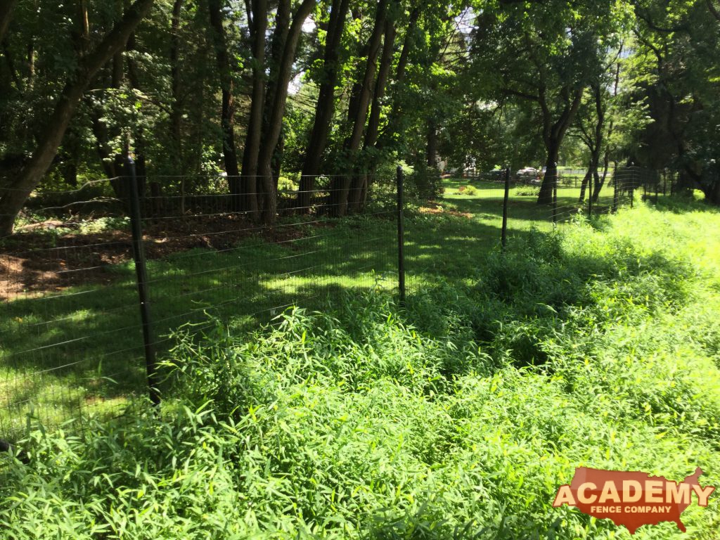 Wire Mesh Deer Fence Installation Basking Ridge NJ,bernards township, somerset county