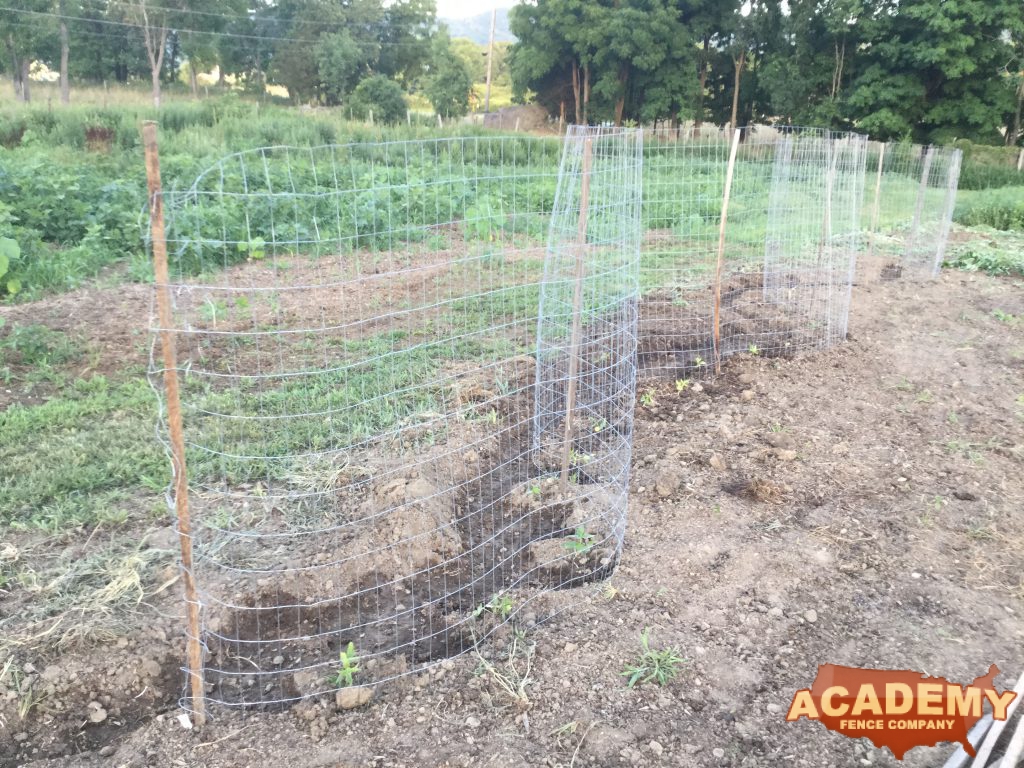 Welded wire garden farm wire mesh fence for hanging beans available at Academy Fence Company